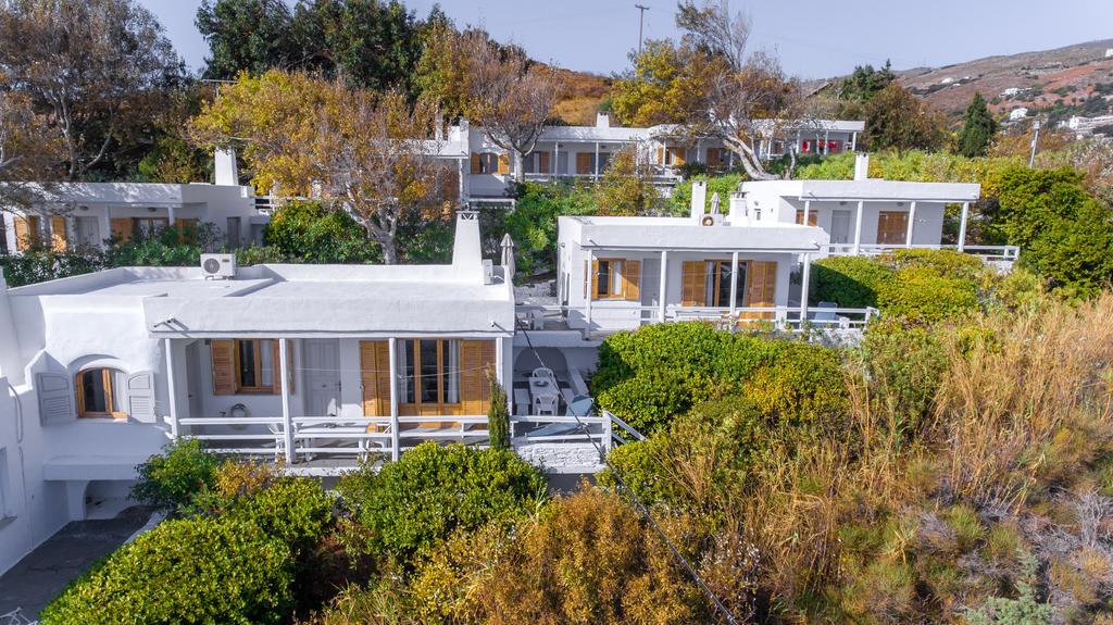 Irene'S Villas Ándros Exterior foto