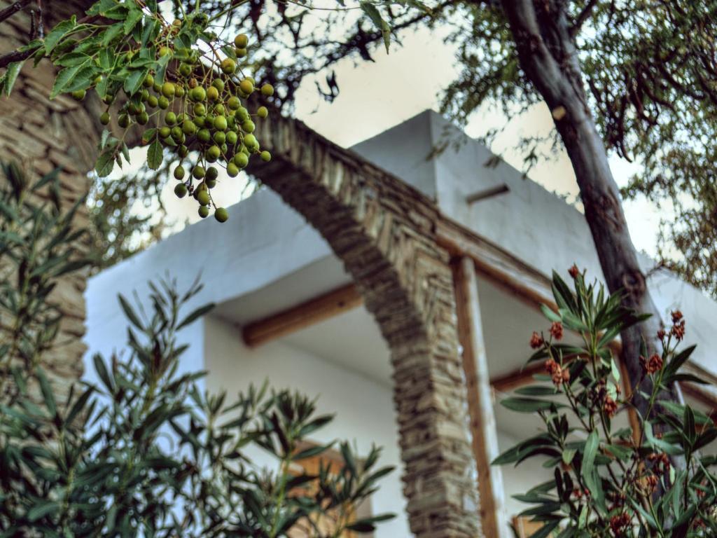 Irene'S Villas Ándros Exterior foto